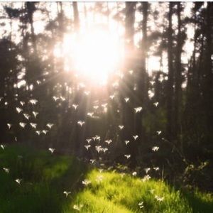 Meet your Posher, Lindsay